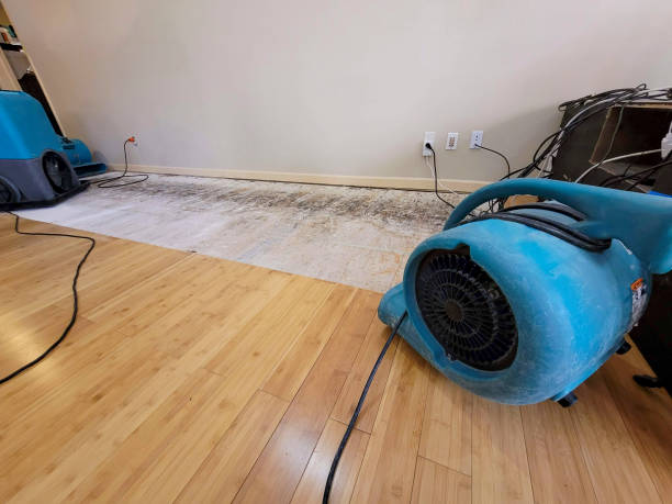 Professional Water Removal technician working in Williamston, MI
